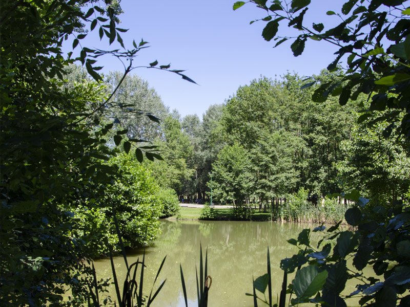 Bassin de jardin à Evron - Pays de la Loire - Mayenne (53)